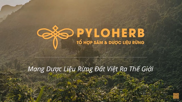 Dược liệu rừng PyLoHerb là một trong những tiềm năng du lịch Măng Đen cần khai phá