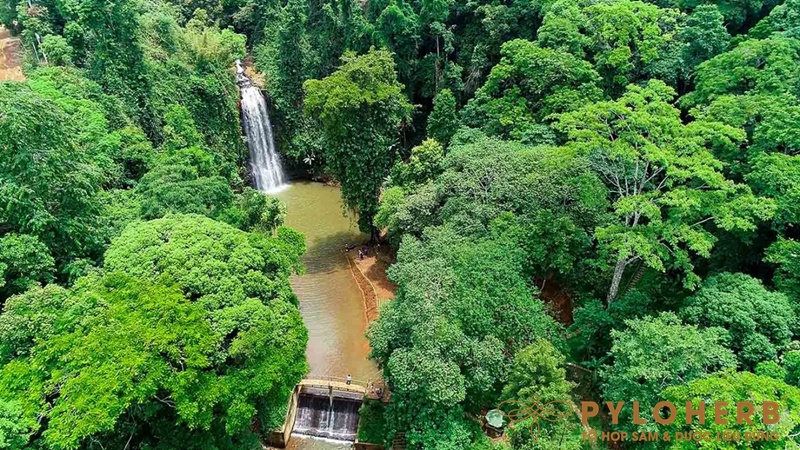 lịch trình du lịch măng đen