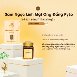Sâm Ngọc Linh Mật Ong Đắng PyLo