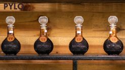 Mật ong đắng rừng PyLo có nhiều công dụng với sức khỏe