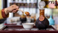 Mật ong đắng rừng PyLo - Tinh túy từ thiên nhiên!