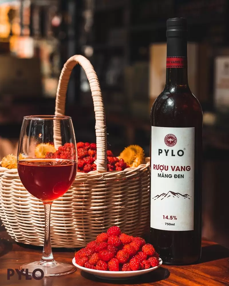 Rượu vang PyLo