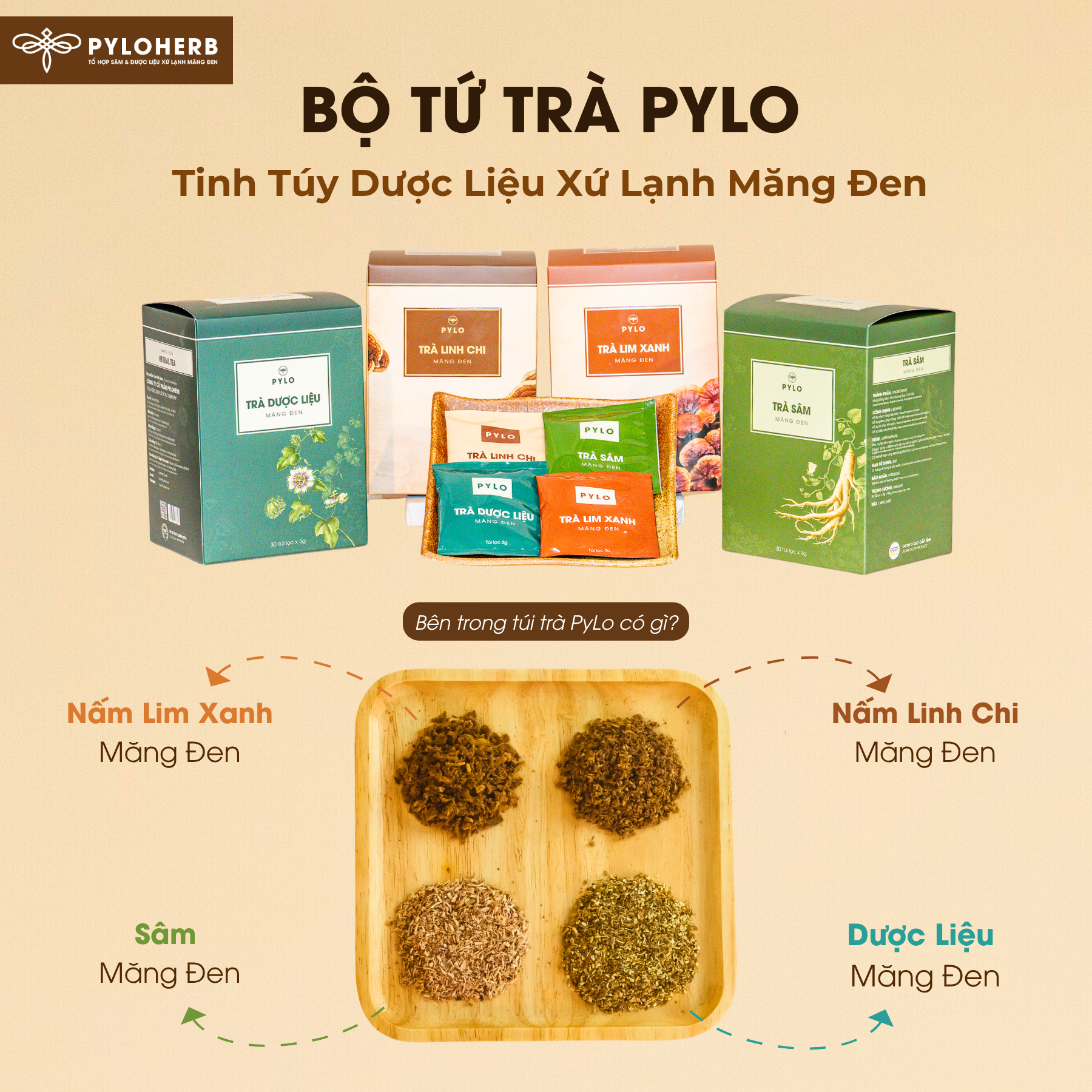 Trà Dược Liệu PyLo - Ảnh 5