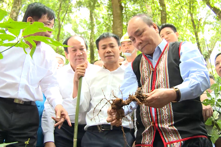  Thủ tướng Nguyễn Xuân Phúc thăm mô hình sâm Ngọc Linh