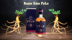 Công dụng tuyệt vời của rượu sâm Ngọc Linh
