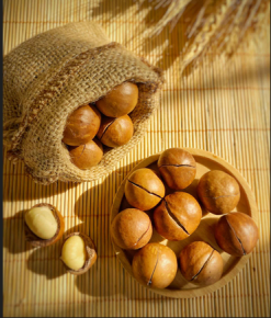 Hạt Macca PyLo - Nữ Hoàng Của Các Loại Hạt