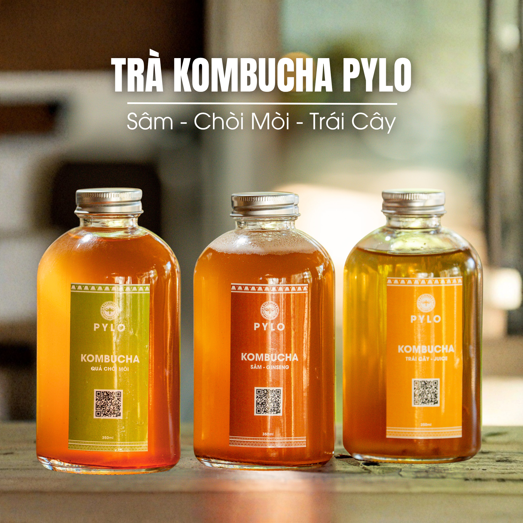 Trà Kombucha PyLo
