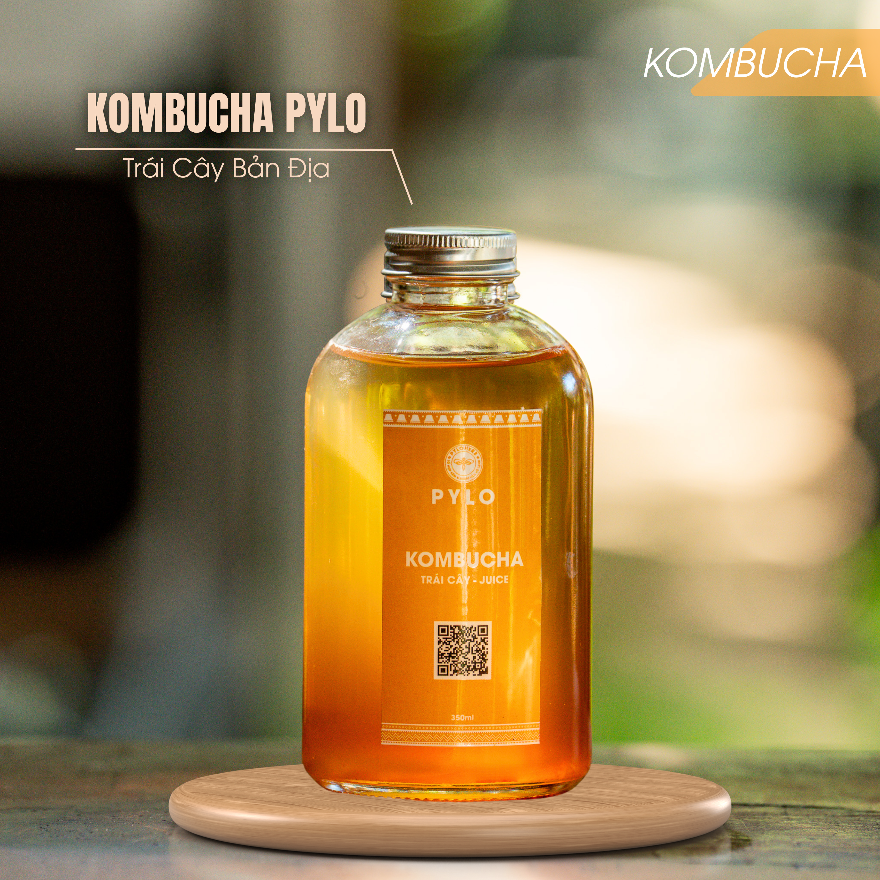 Trà Kombucha PyLo - Ảnh 3