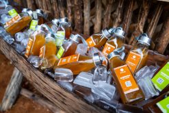 Alternative view of Trà Thảo Mộc Kombucha PyLo