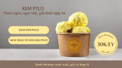 Kem PyLo: 2 Loại Kem Ngon Giải Nhiệt Bạn Nên Thử