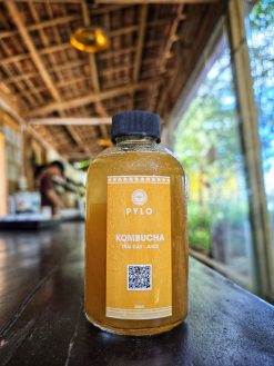 Trà Thảo Mộc Kombucha PyLo