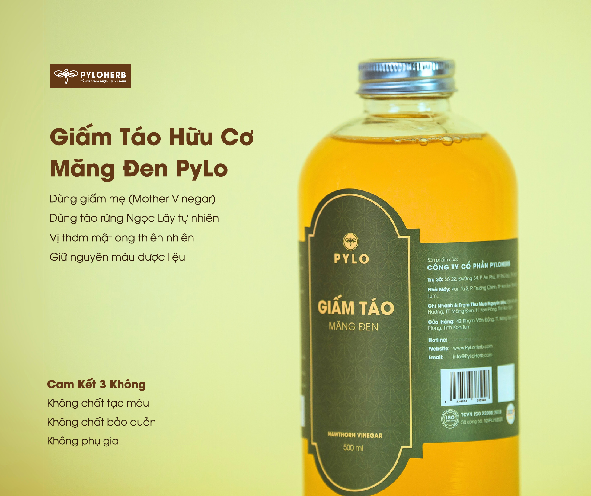 Giấm táo hữu cơ PyLo