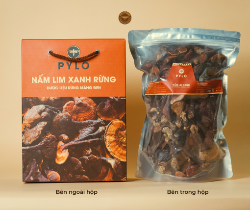 Nấm Lim Xanh Rừng PyLo