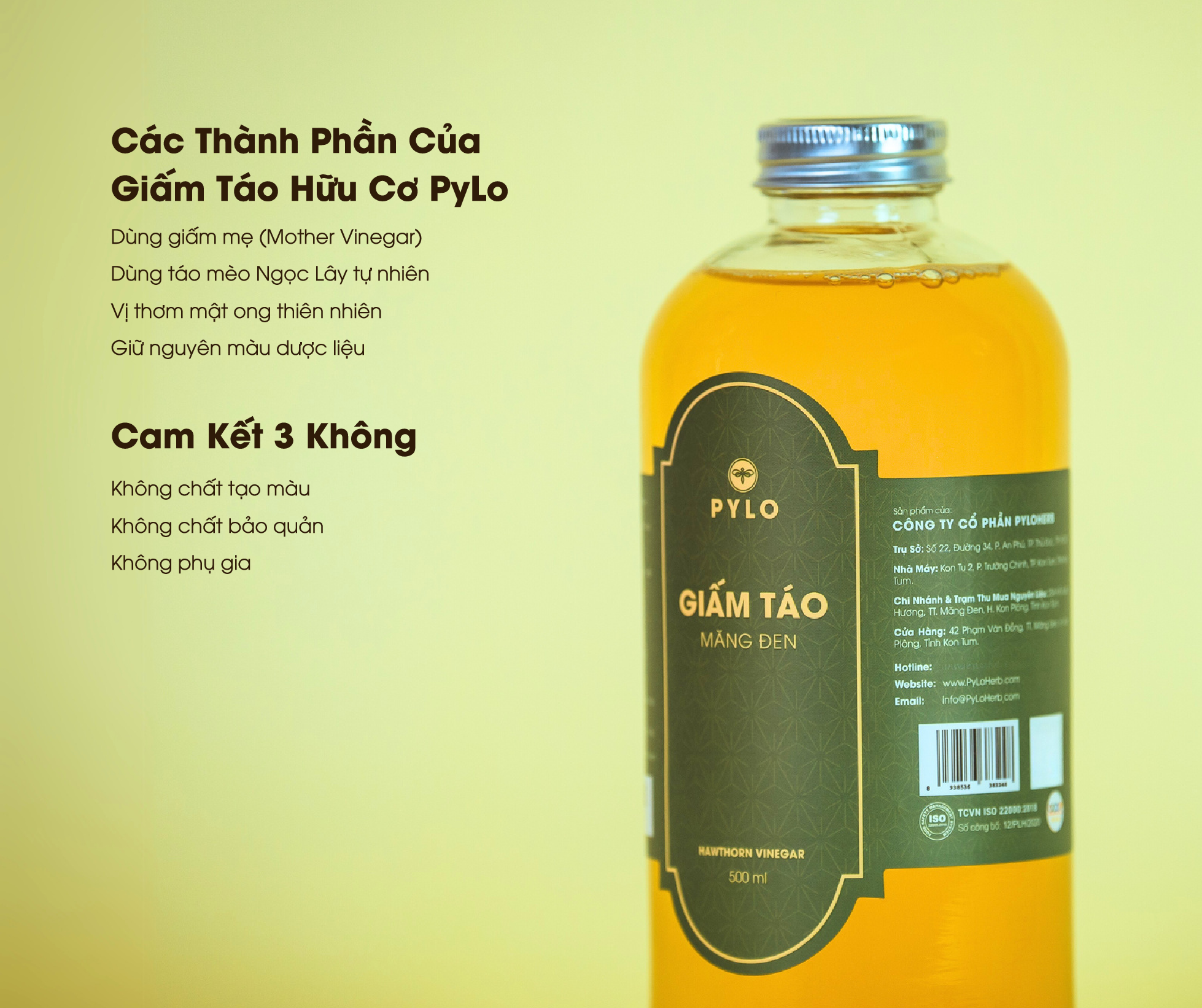 Giấm Táo Hữu Cơ PyLo - món quà cho sức khỏe