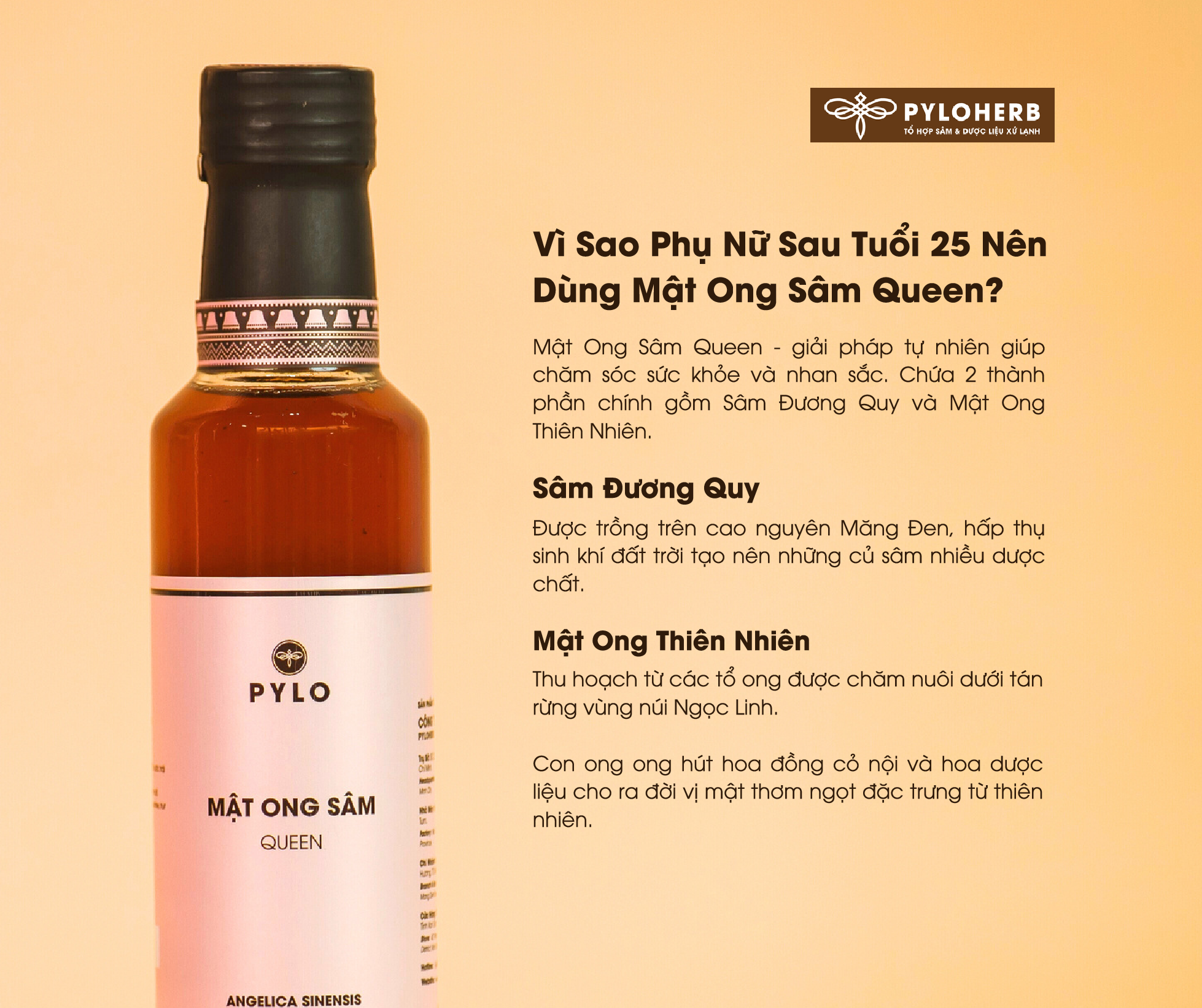 Mật Ong Sâm PyLo Queen chứa nhiều thành phần dưỡng chất cho cơ thể