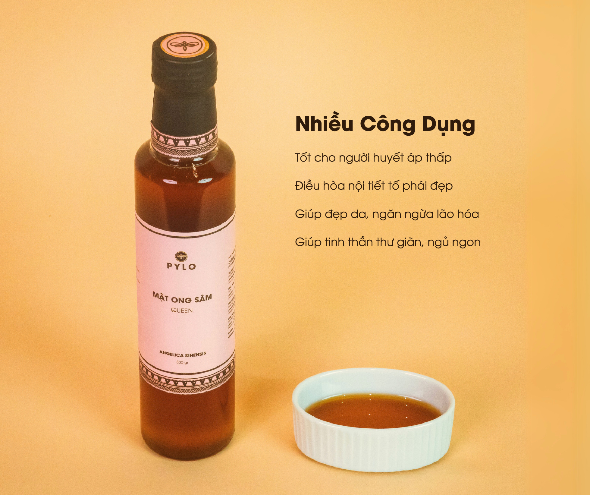 Công dụng nổi bật của sản phẩm nhà PyLo