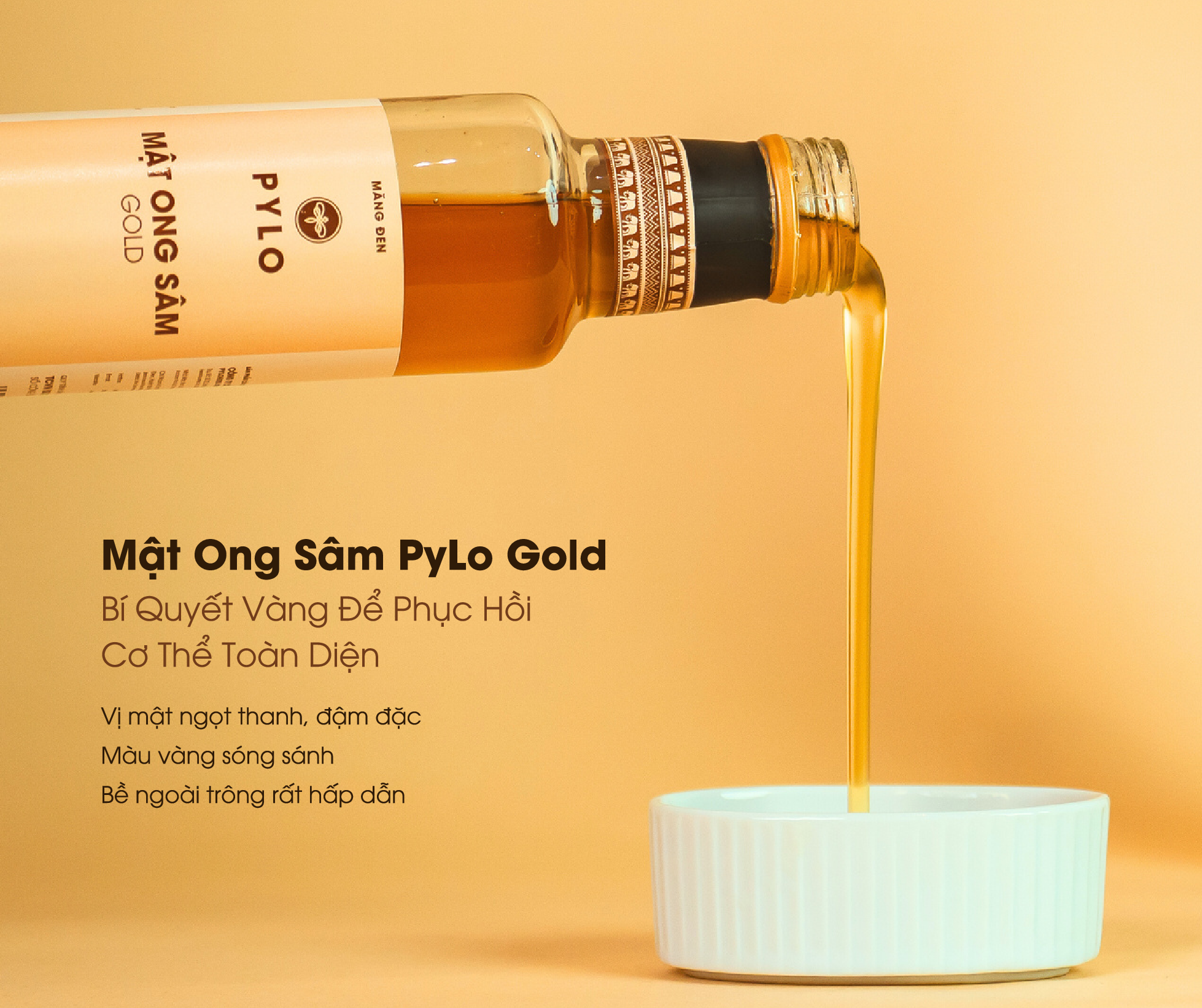 Mật Ong Sâm PyLo Gold - giải pháp giúp phục hồi cơ thể
