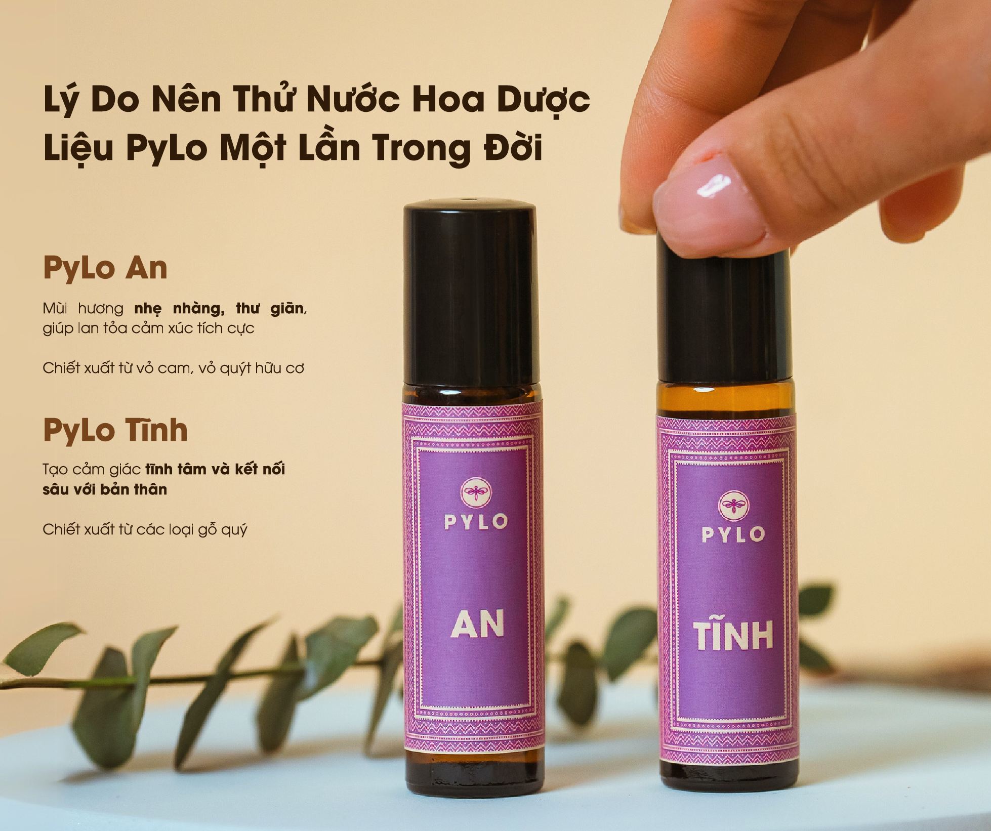 Nước Hoa Thảo Dược PyLo - tinh túy từ vùng đất Măng Đen