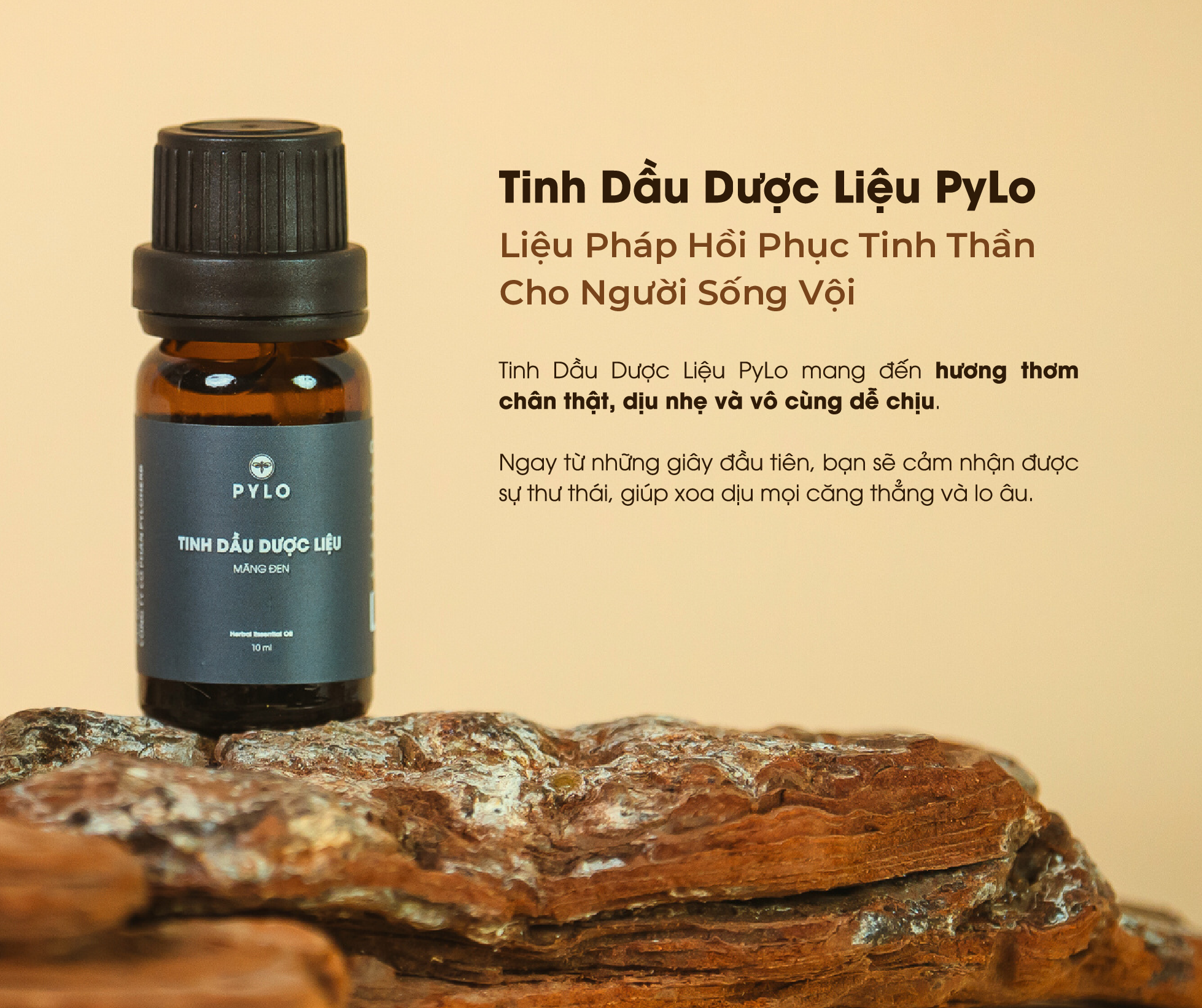 Tinh Dầu Dược Liệu PyLo đem đến nhiều công dụng cho tinh thần