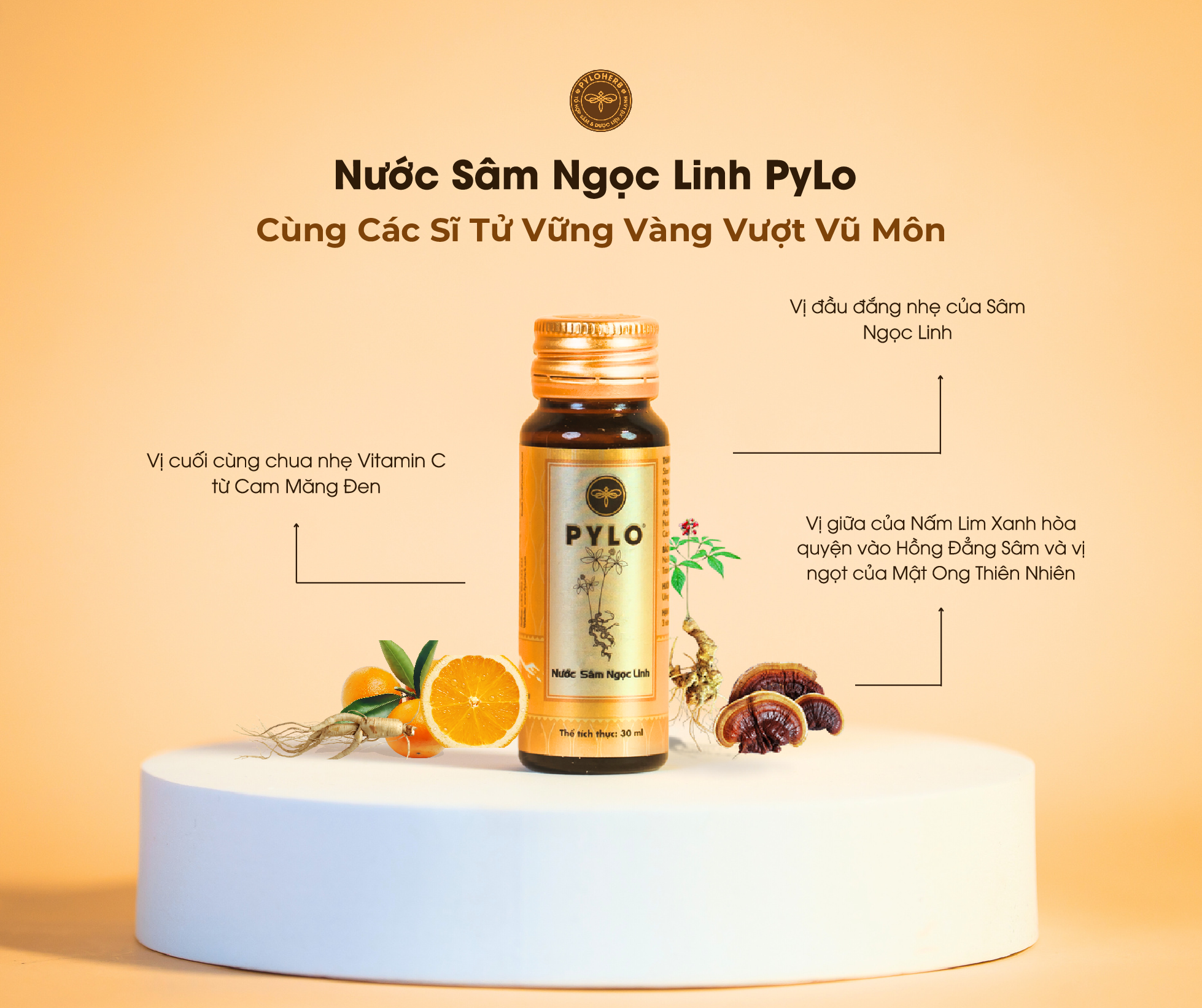 Nước Sâm Ngọc Linh PyLo giúp sĩ tử vững vàng vượt vũ môn