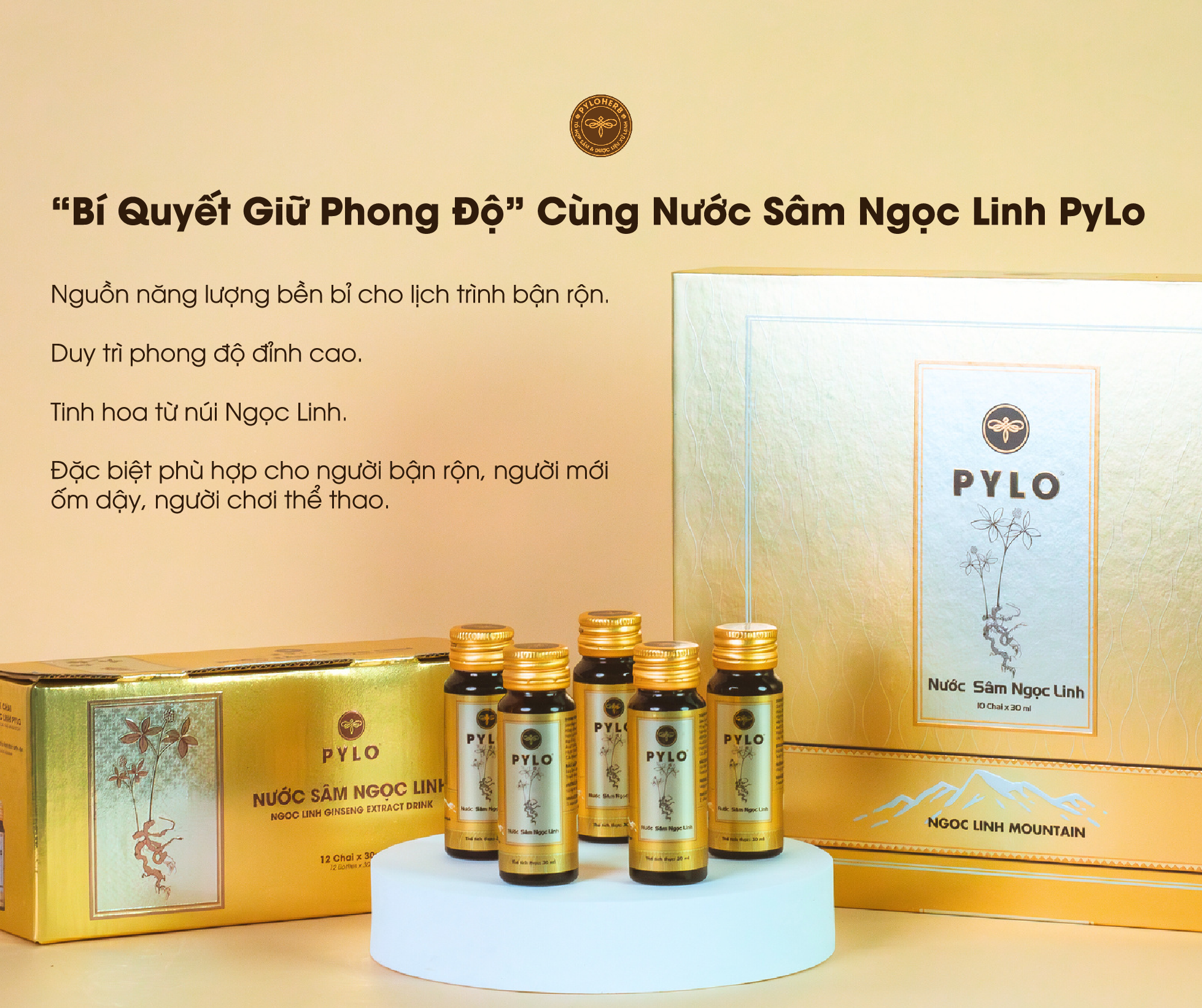 Nước Sâm Ngọc Linh PyLo giúp giữ vững phong độ làm việc hiệu quả
