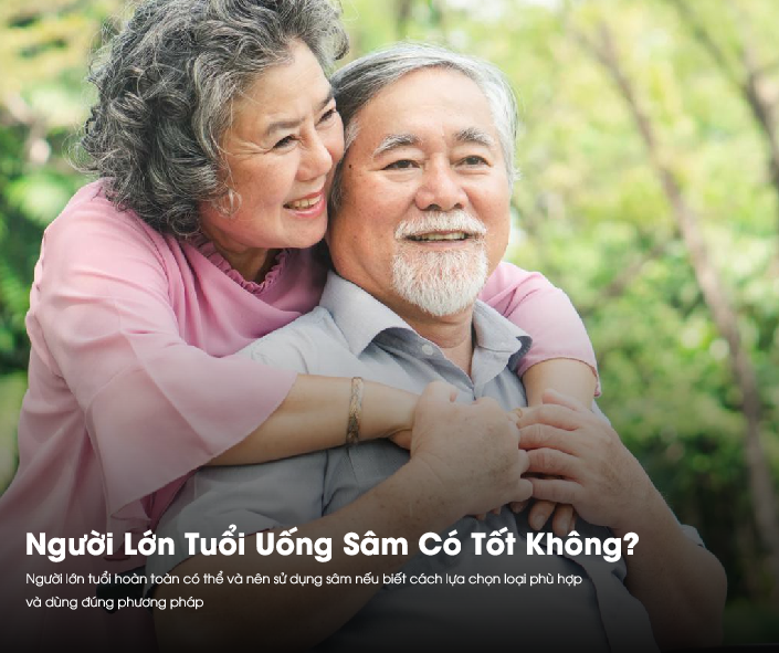 Người già uống sâm có tốt không là thắc mắc của nhiều người