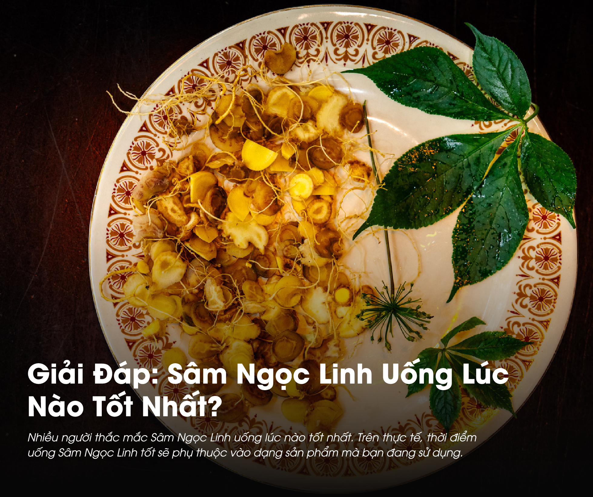 Sâm Ngọc Linh uống lúc nào tốt nhất là thắc mắc của khá nhiều người