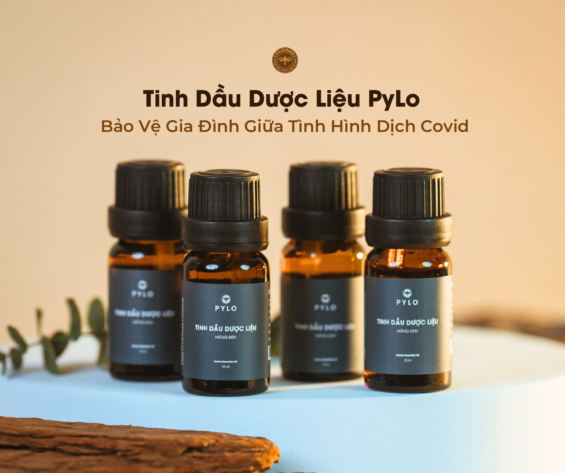 Tinh Dầu Dược Liệu PyLo - giải pháp để bảo vệ sức khỏe trong mùa Covid