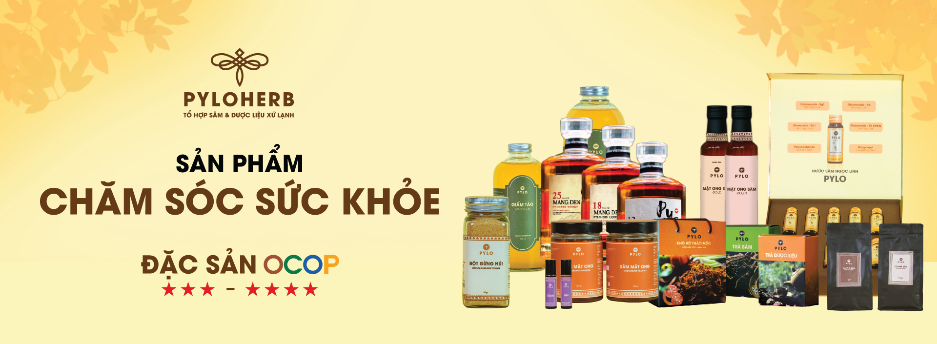 Chăm sóc sức khỏe Pylo