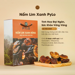 Nấm Lim Xanh Tự Nhiên PyLo