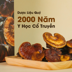 Alternative view of Nấm Lim Xanh Tự Nhiên PyLo