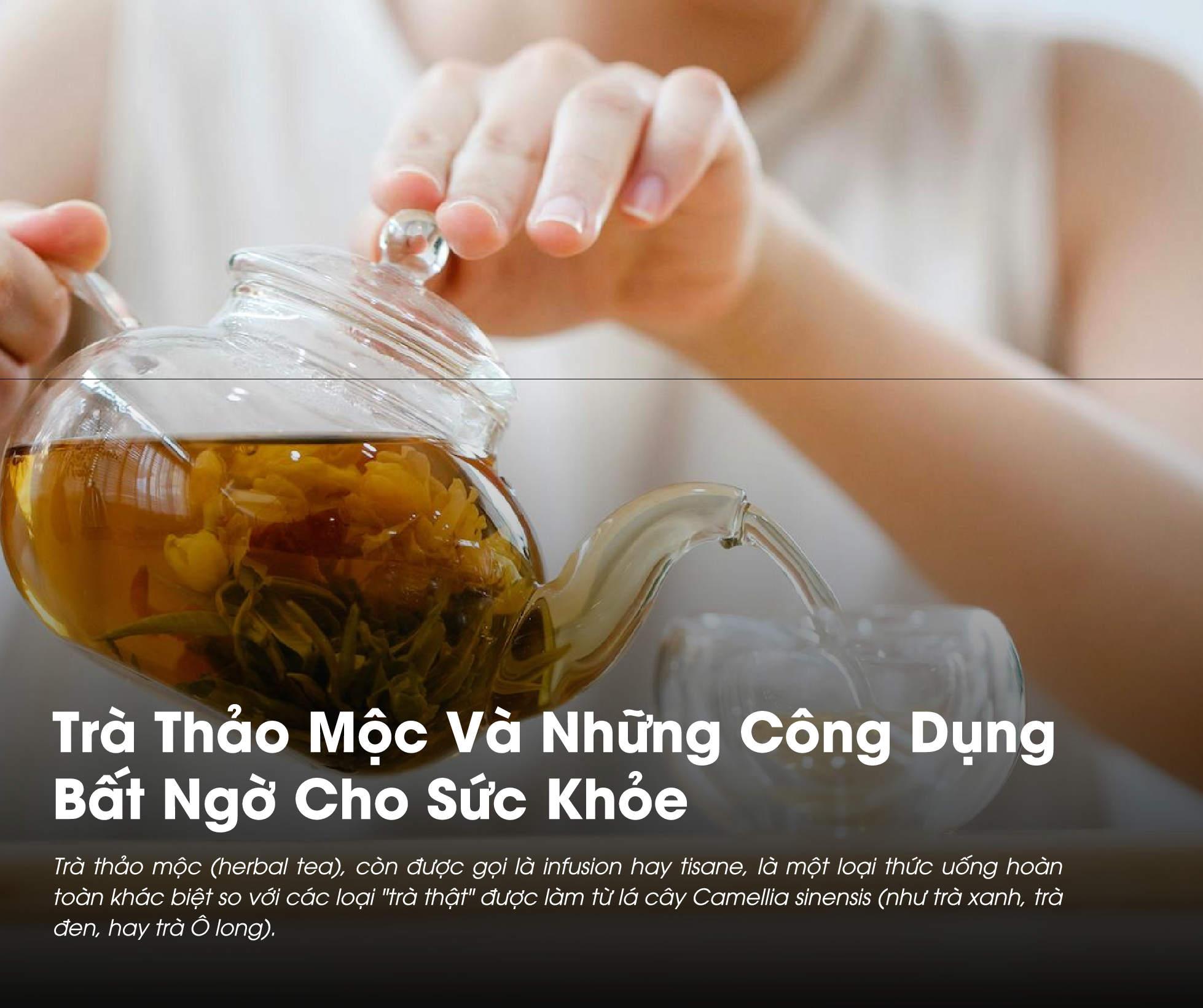Trà thảo mộc đem lại rất nhiều lợi ích cho sức khỏe