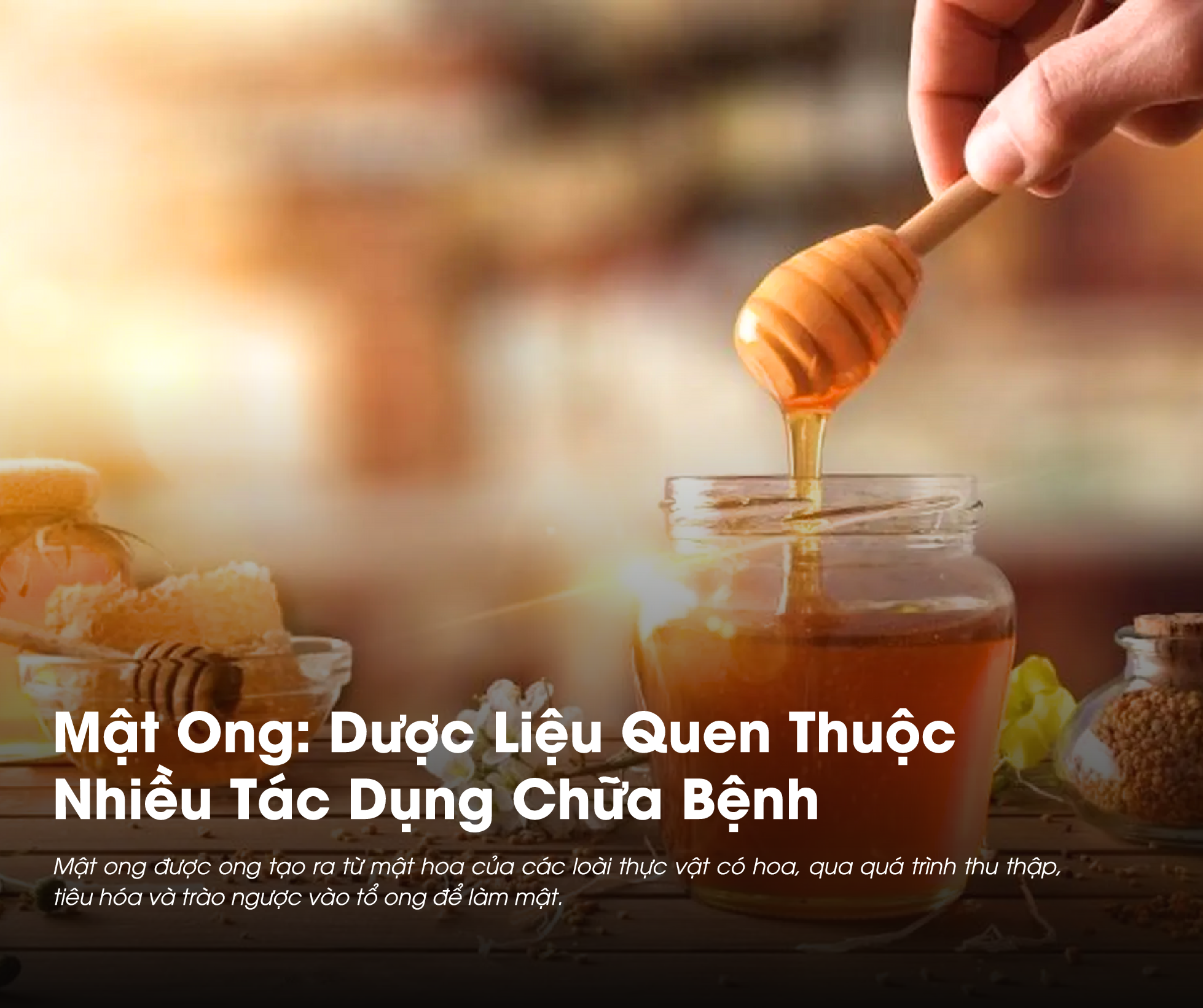 Mật ong là dược liệu được sử dụng rất phổ biến