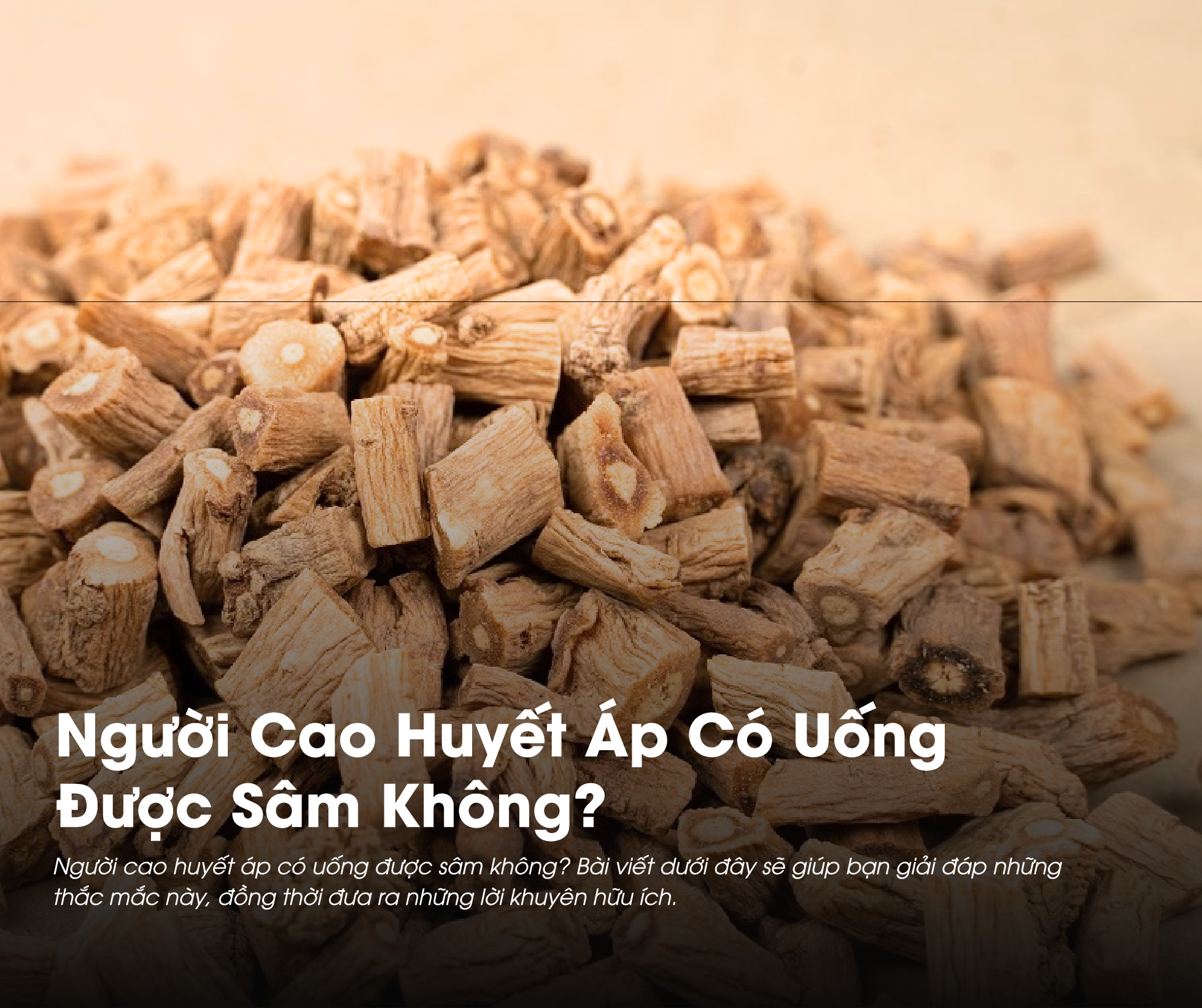 Cao huyết áp có uống được sâm không là câu hỏi thường gặp