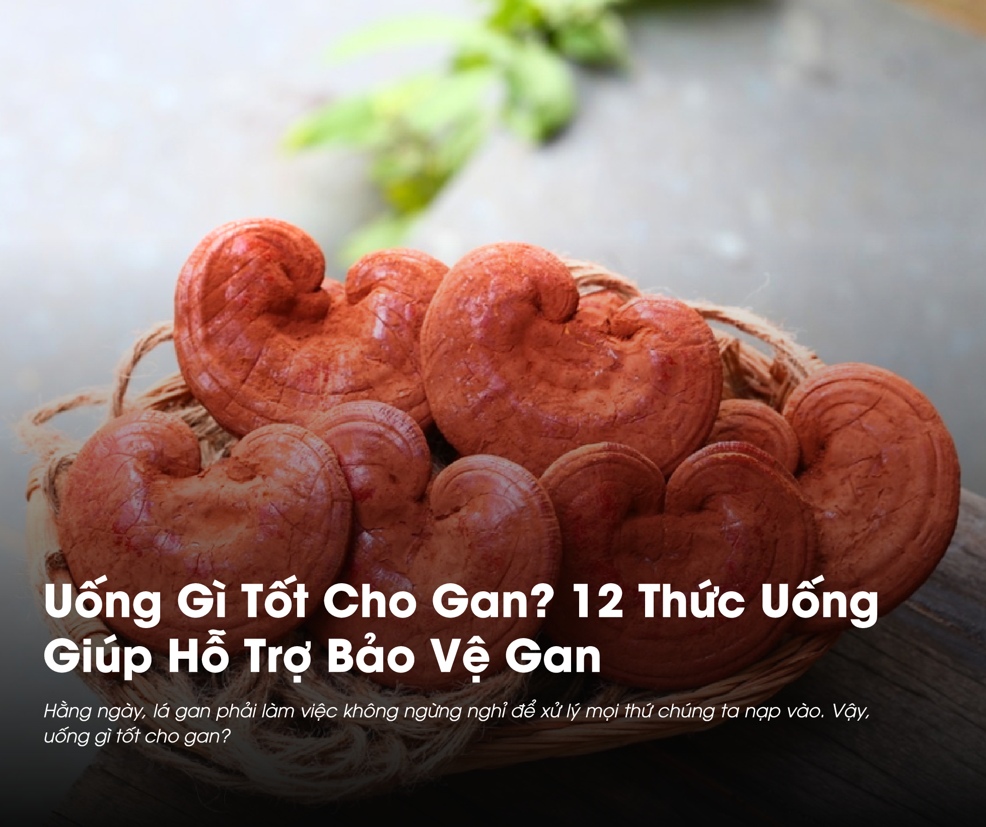 Uống gì tốt cho gan là thắc mắc của nhiều người
