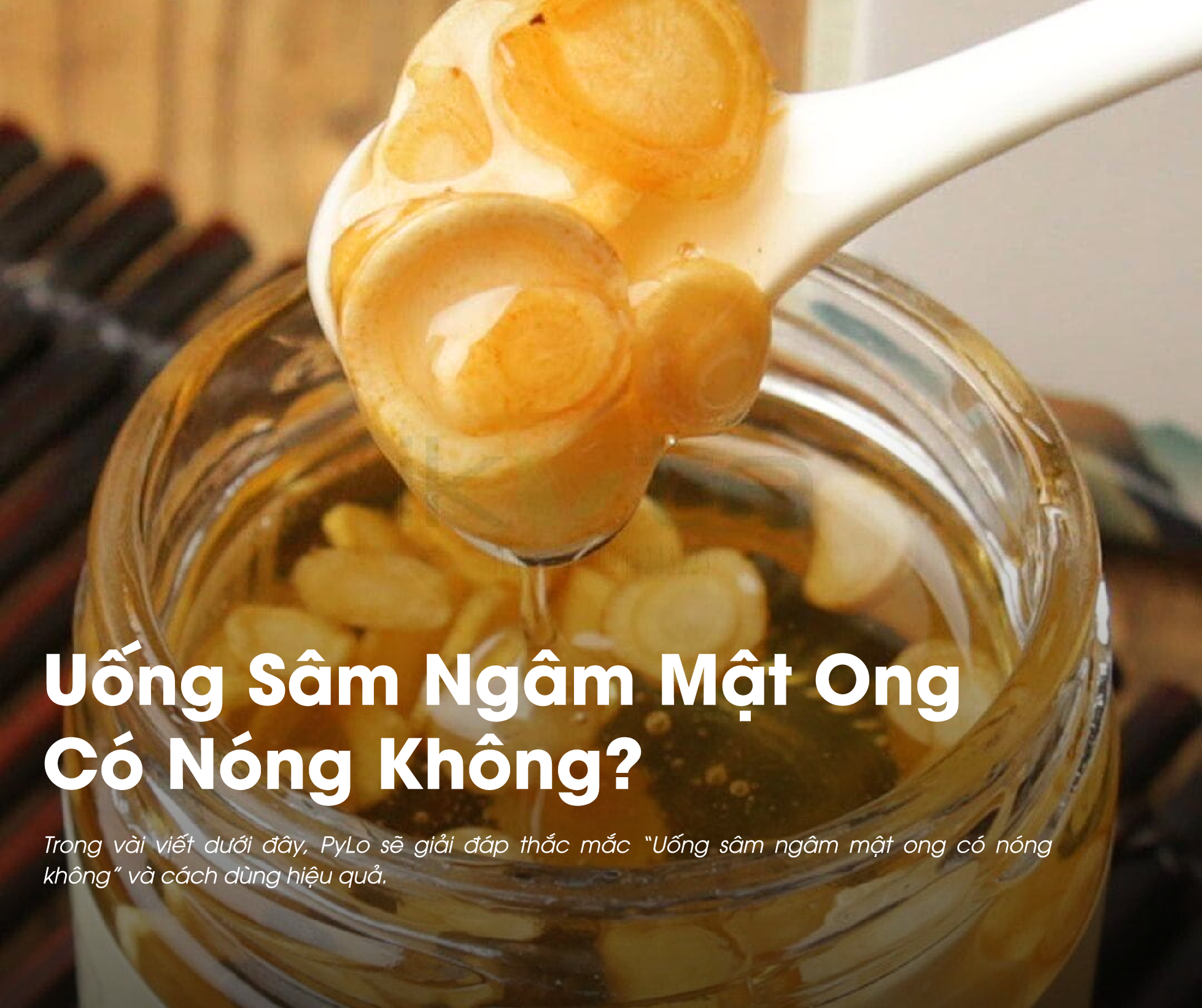 Uống sâm ngâm mật ong có nóng không là thắc mắc của nhiều người