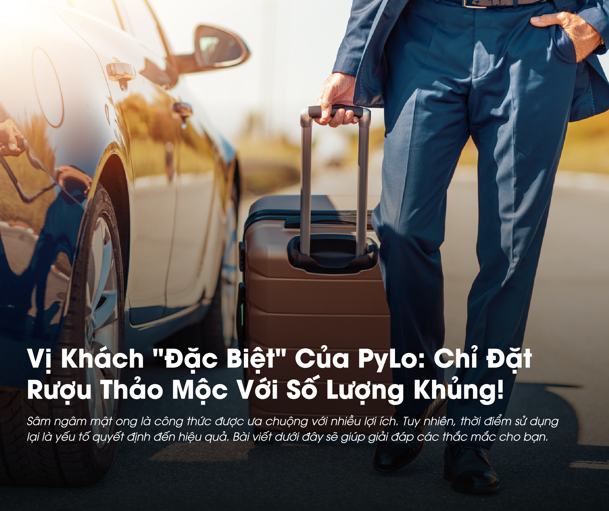 Vị khách "đặc biệt" của PyLo