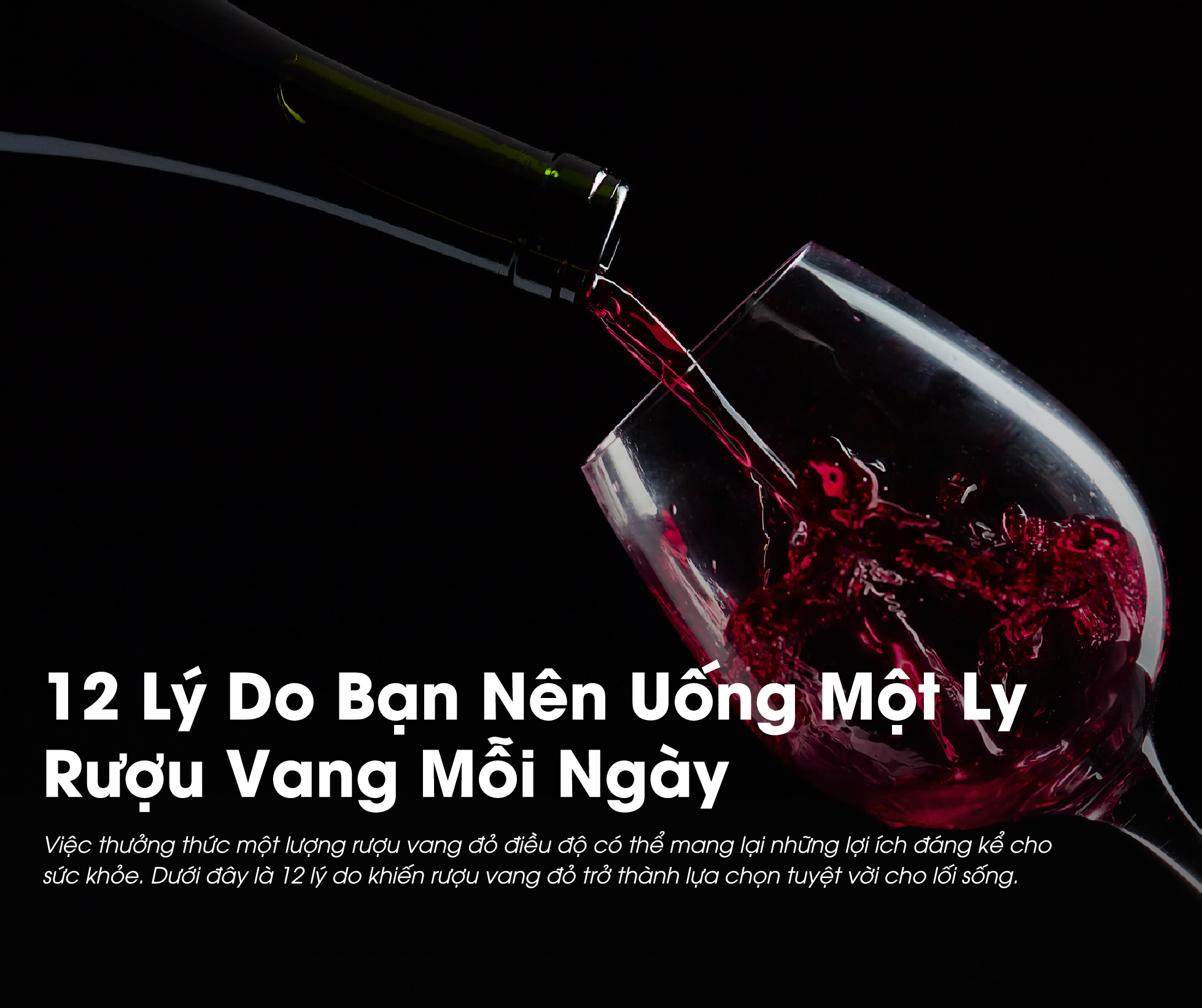 Có nhiều lý do bạn nên uống rượu vang mỗi ngày