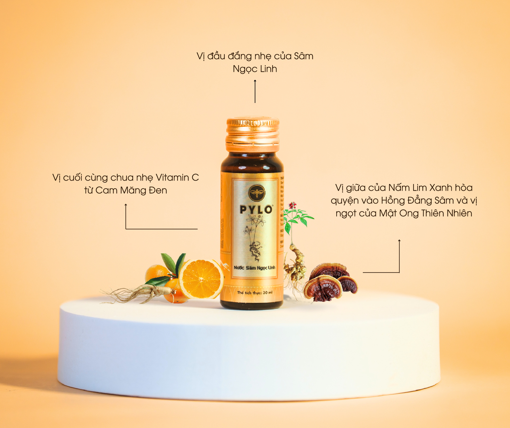 Nước Sâm Ngọc Linh với 5 loại dược liệu quý