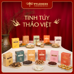 BỘ SƯU TẬP THẢO VIỆT - QUÀ TẾT PYLO 2026 ‘HƯƠNG XUÂN TỪ ĐẤT LÀNH’