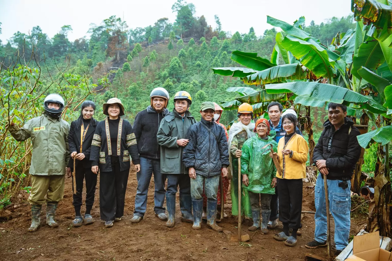 Hoạt động thu hoạch Sâm mùa vụ 2023 cùng bà con xã Đăk Tăng