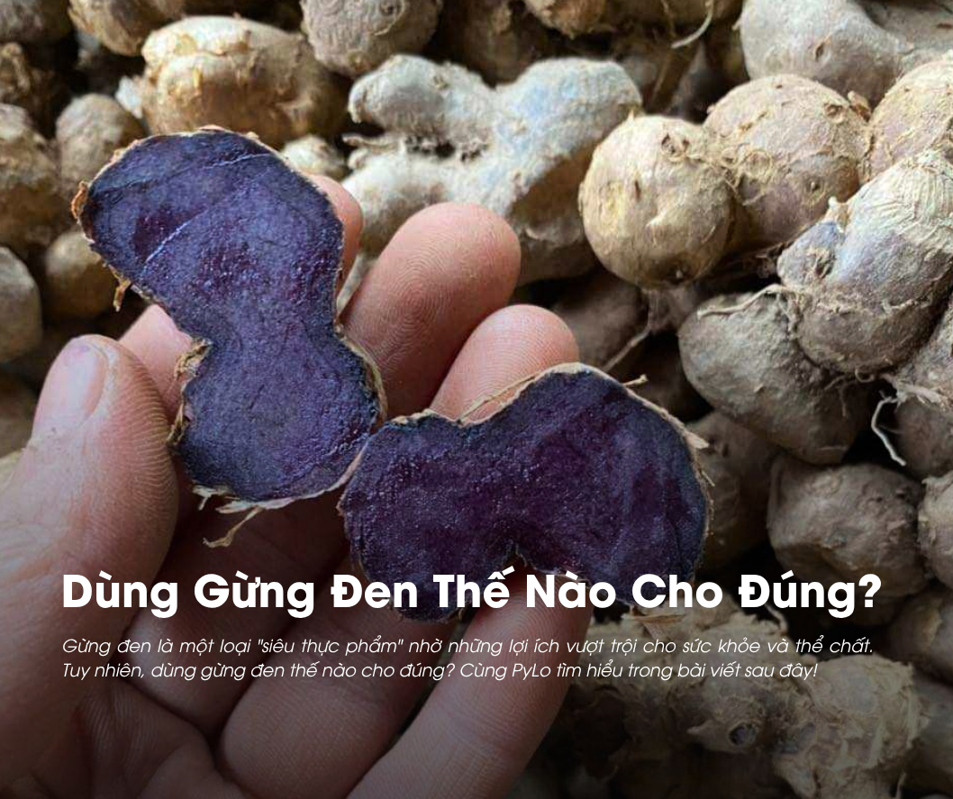 Dùng gừng đen thế nào cho đúng? Có nhiều cách để sử dụng loại dược liệu này.