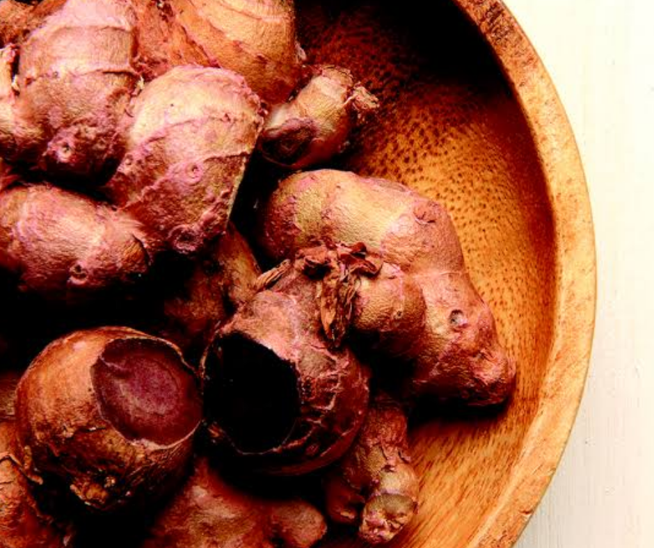 Gừng đen khá giống gừng thường nhưng phần củ khi già sẽ có màu tím đậm hoặc đen huyền 