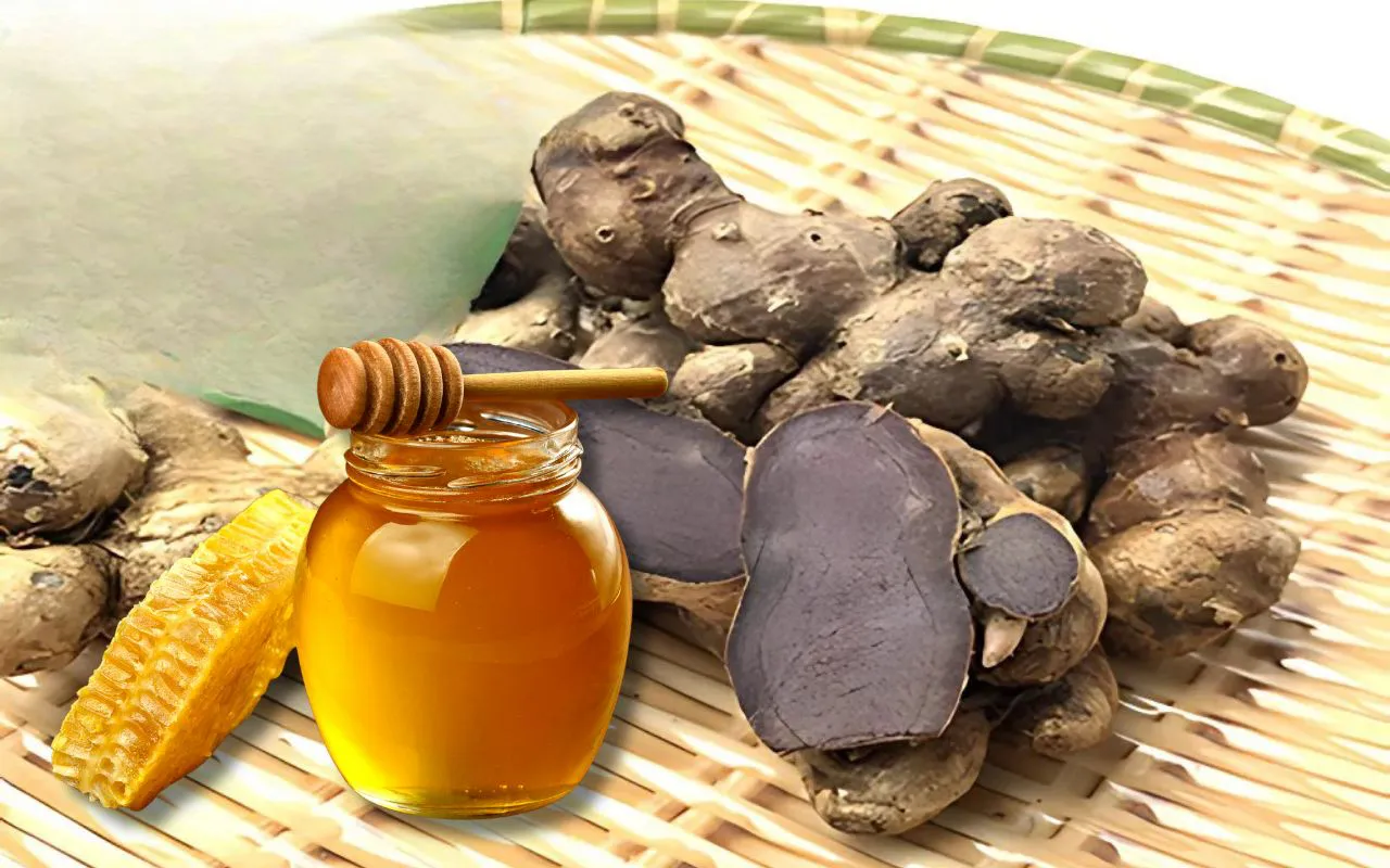 Gừng đen có thể kết hợp với mật ong để tạo nên sản phẩm bổ dưỡng