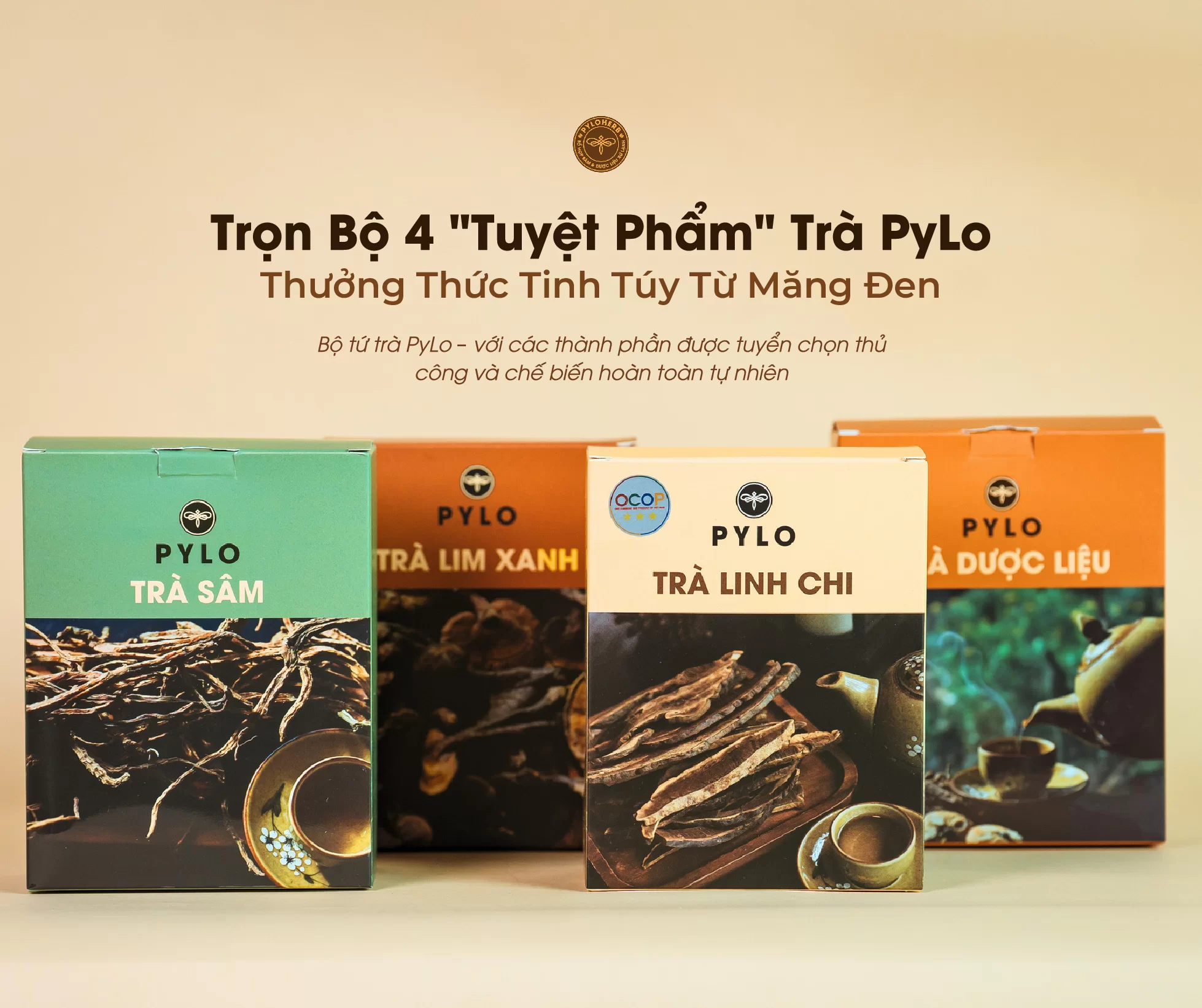 Hình ảnh bốn loại trà dược liệu của PyLo